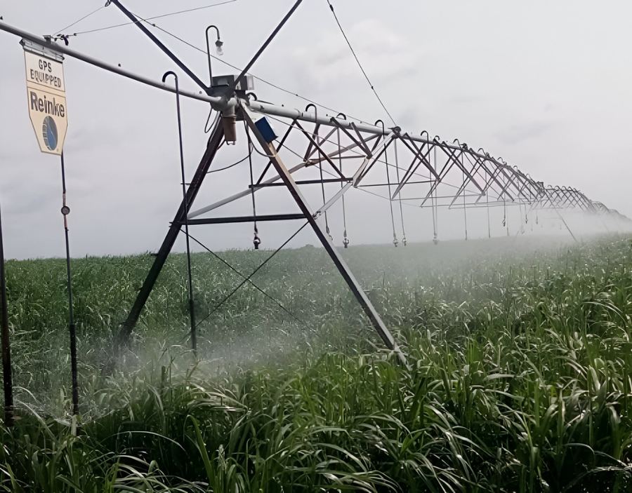 Dangote Group  Sugar Irrigation Project