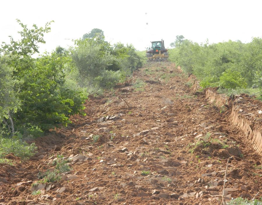 Flour Mills of Nigeria  Cassava  Sugar Development Project
