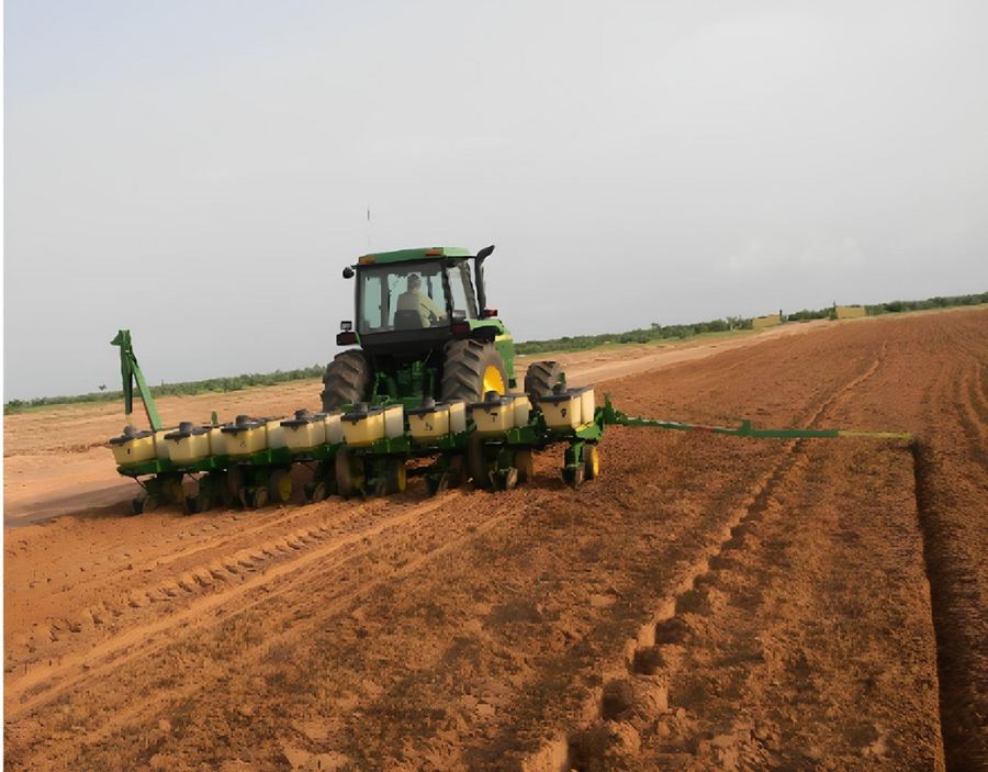 Olam Rice Farm Development