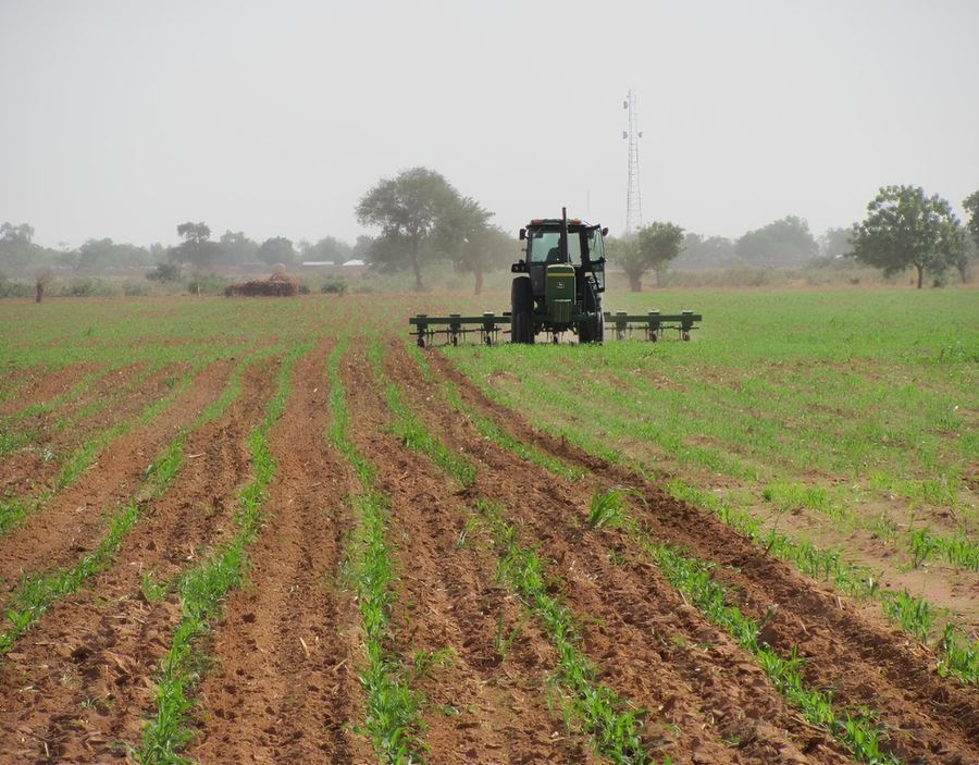 Tomato Jos Irrigation  Farm Support Project