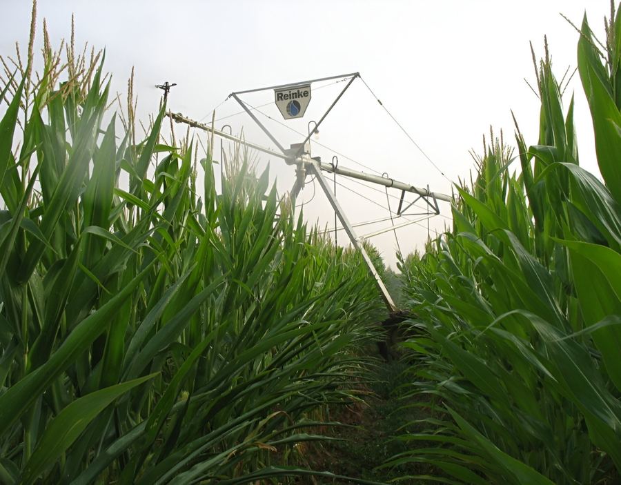 Zamfara Multi-Crop Irrigation Project