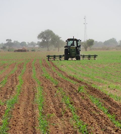 Farm Development