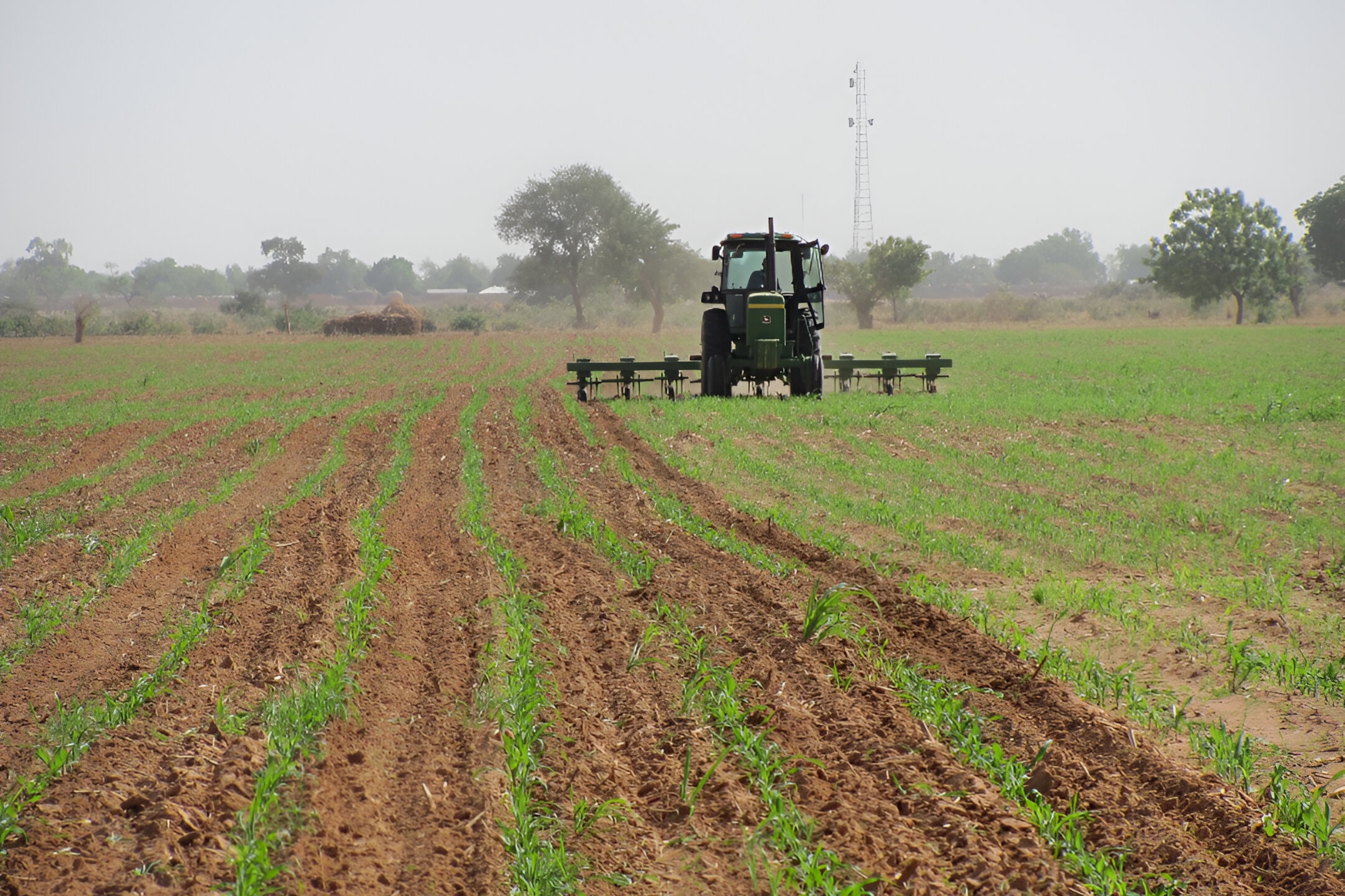 Driving Agricultural Growth Through Innovation and Experience